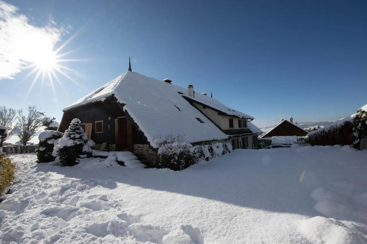 Le Relais Des Bornes - Gite & Spa Villy-le-Bouveret Holiday home